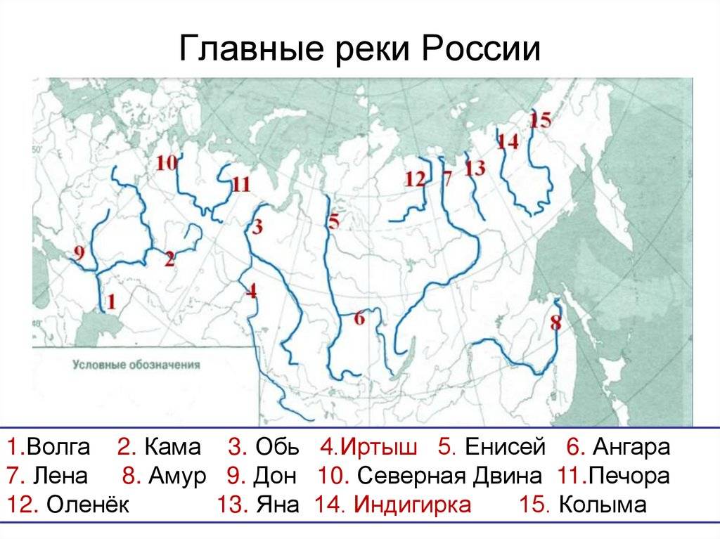 Примеры рек и озер. Крупные реки России на карте. Крупные реик Росс на карте. Крупнейшие реки России на контурной карте. Крупные реки России на контурной карте.