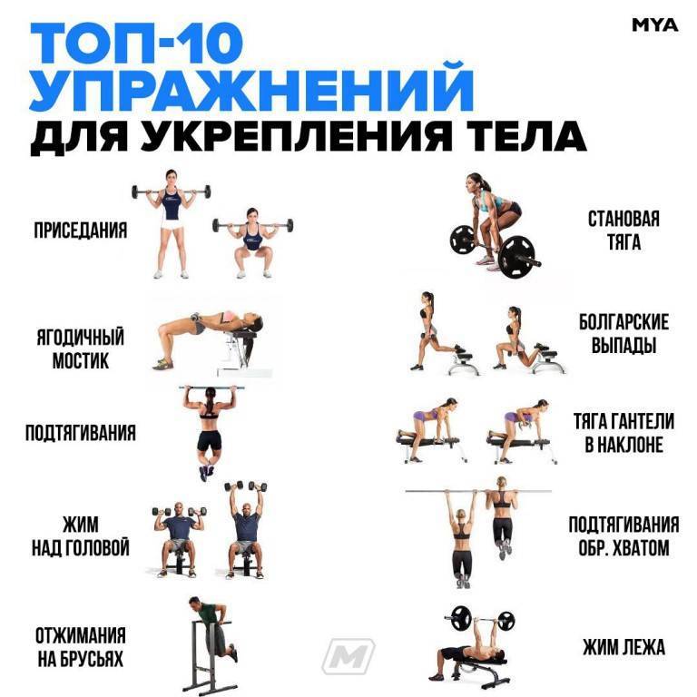 Упражнения в тренажерном зале для ягодиц: эффективные занятия для девушек - tony.ru