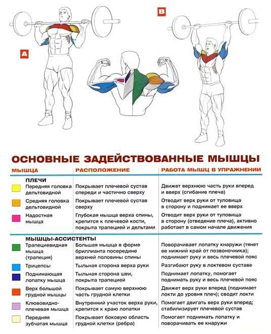 Жим штанги стоя с груди: особенности упражнения и техника выполнения