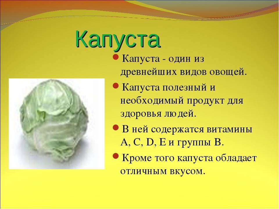 Полезные свойства и вред квашеной капусты