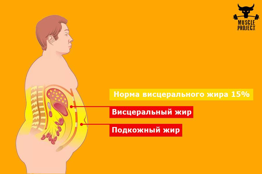 Чем опасен висцеральный жир?