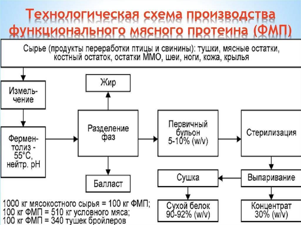 Бизнес план производства протеина