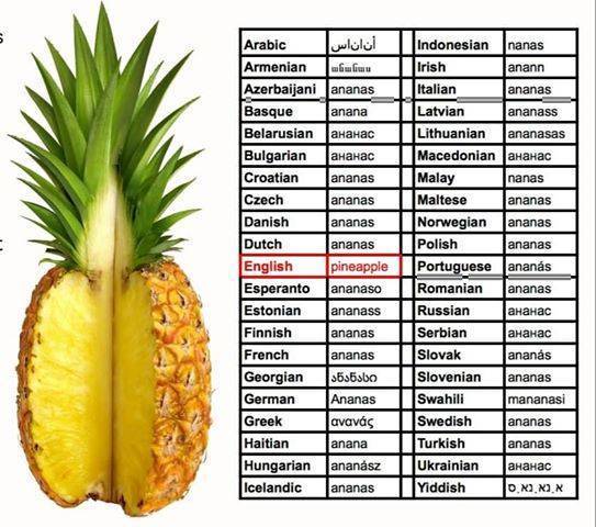 Сколько углеводов в ананасе свежем. как похудеть на ананасе: калорийность, влияние на обмен веществ, время употребления