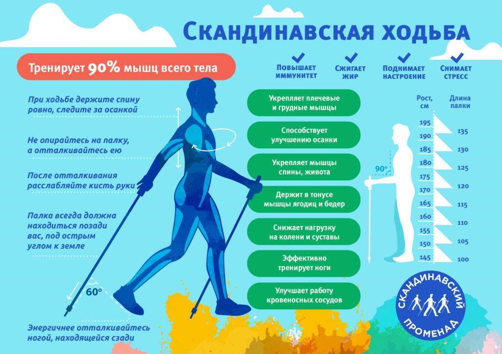 Польза ходьбы пешком: сколько ходить для укрепления здоровья
