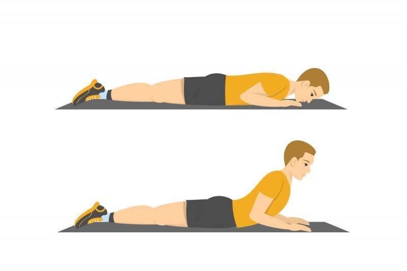Упражнение «кошечка» для спины — описание, особенности и рекомендации