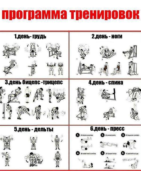 Программа тренировок в тренажерном зале для мужчин для похудения