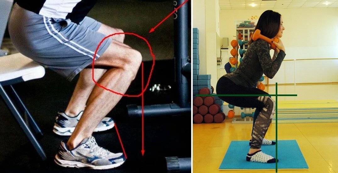 Фронтальные приседания со штангой: техника выполнения, работающие мышцы, польза