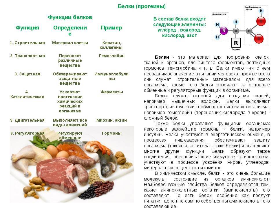 Белок в питании - значение и влияние на организм - dietbest.ru