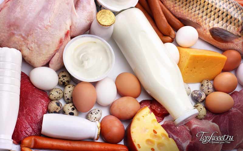 Протеин в продуктах питания. список продуктов содержащих протеин