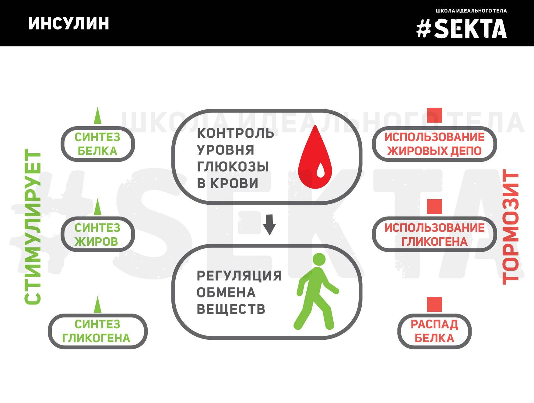 Мнение эндокринолога: инсулинорезистентность - причина или следствие ожирения? что лечить в первую очередь? * клиника диана в санкт-петербурге
