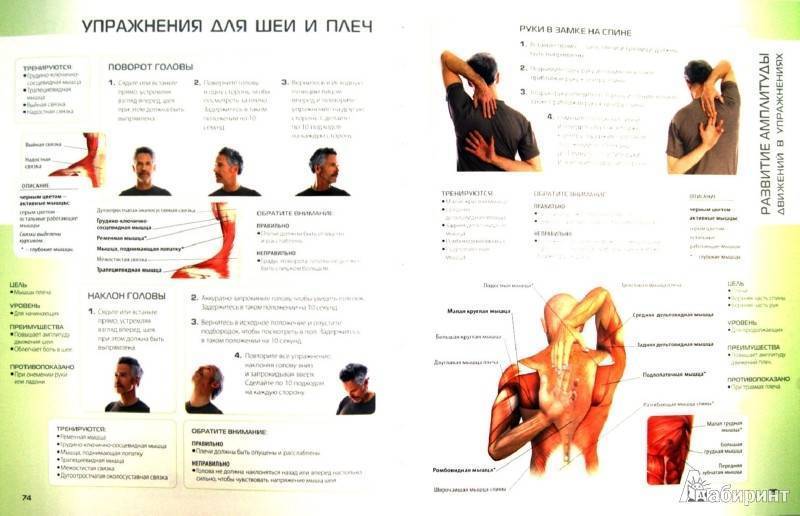 Комплекс упражнений при остеохондрозе шейного отдела