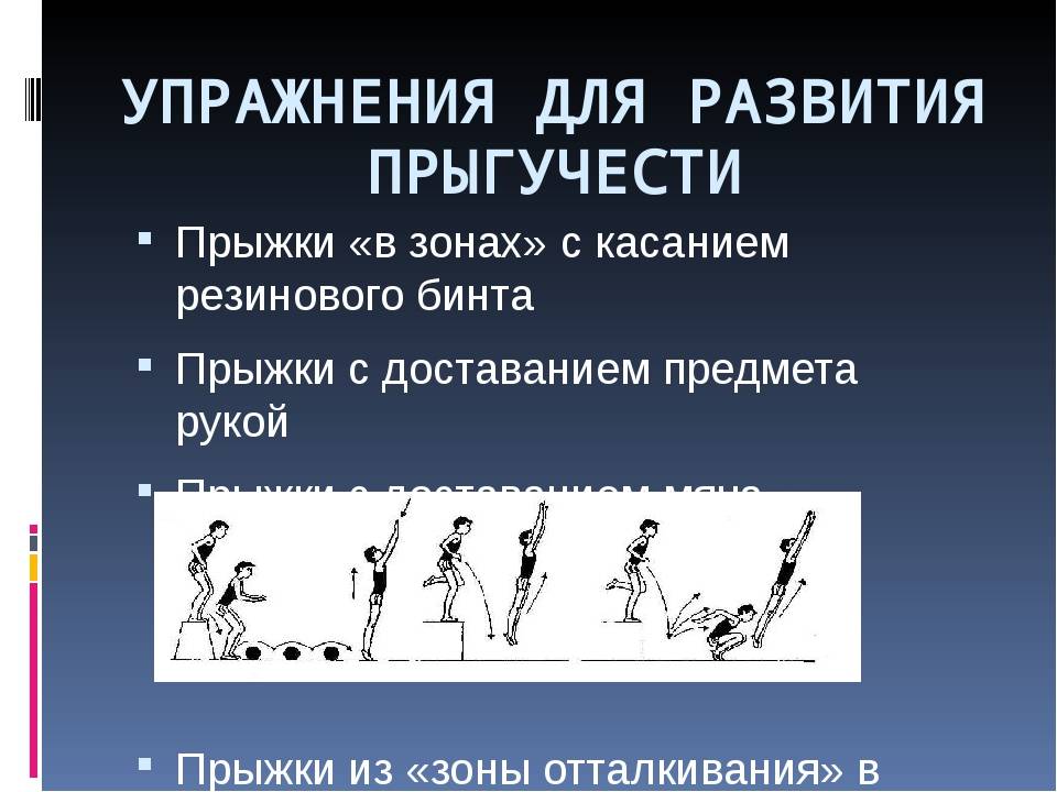 Как развить прыгучесть и научиться высоко прыгать: тактика и основные упражнения + разбор ошибок от тренера | mitrey.ru