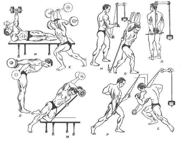 Базовые упражнения на трицепс в тренажерном зале и дома