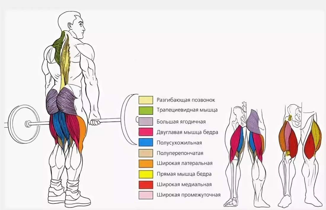Румынская тяга со штангой: как правильно делать и чем заменить упражнение?