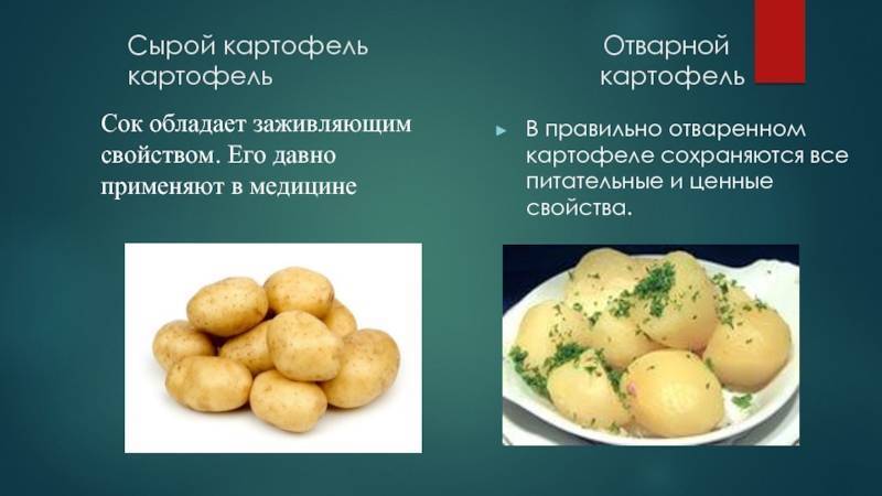 Картофель жареный: калорийность, польза, пищевая ценность