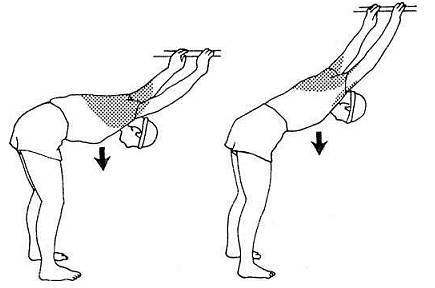 Комплекс упражнений для развития гибкости плечевого пояса
