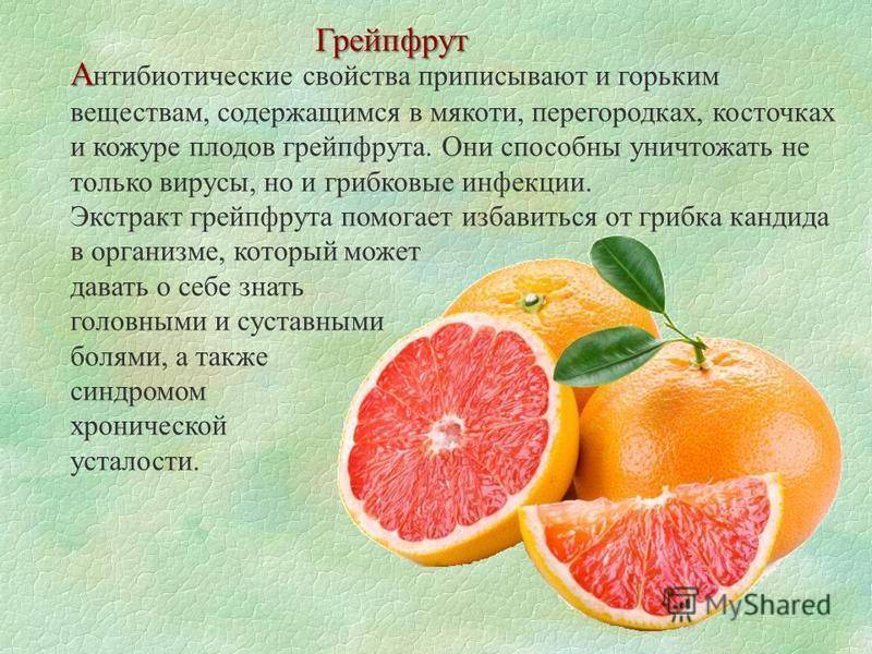 Грейпфрут — польза и вред, калорийность и состав. как правильно едят грейпфрут? как вырастить в домашних условиях