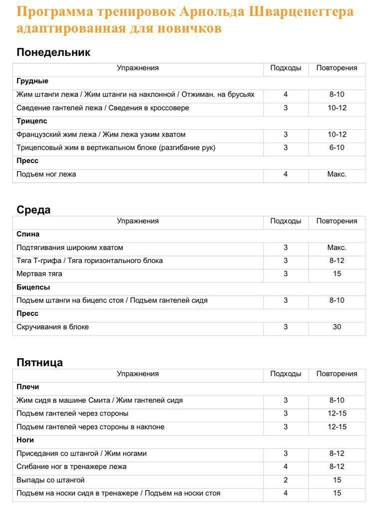 План тренировок для мужчин в тренажерном зале 2 раза в неделю для мужчин