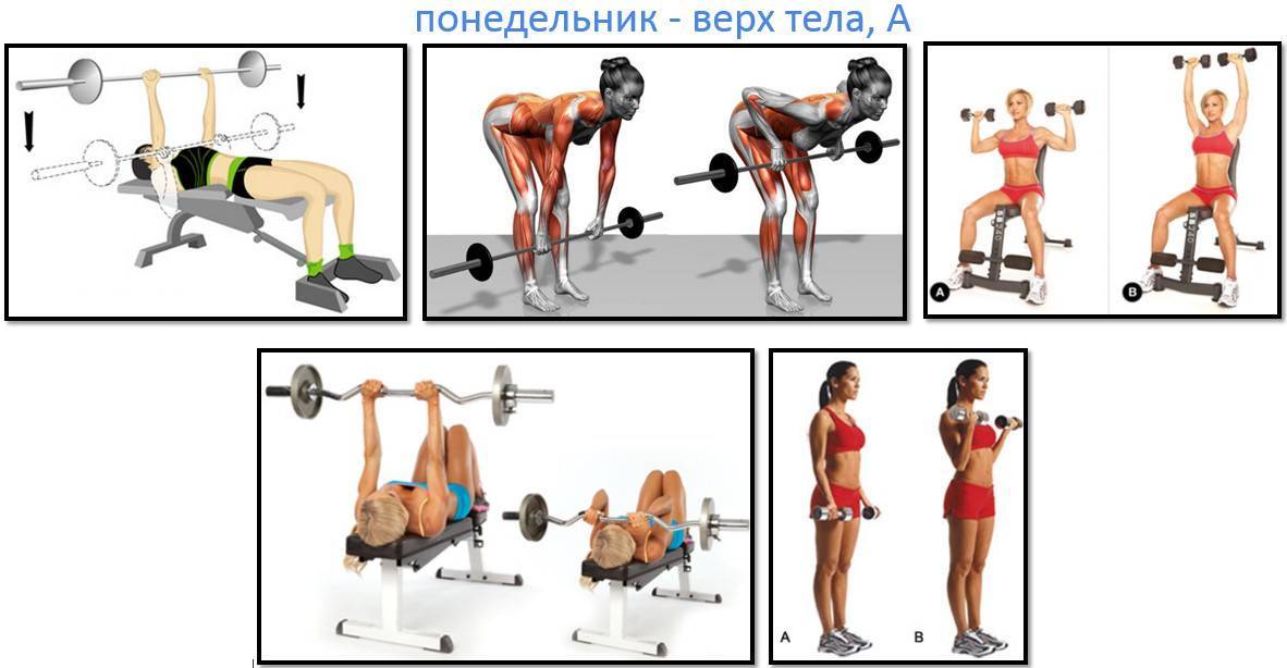 Программа тренировок для девушек в тренажерном зале: комплекс упражнений для похудения
