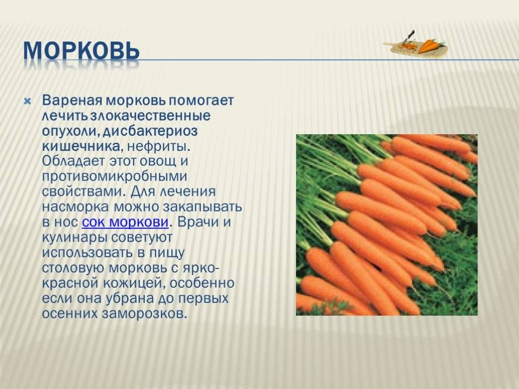Калорийность морковь. химический состав и пищевая ценность.