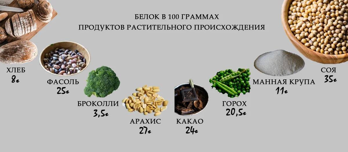 Самый белковый продукт на 100. Продукты растительного происхождения богатые белком. Продукты содержащие белки растительного происхождения. Источник растительного белка таблица. Растительные источники белка список продуктов.