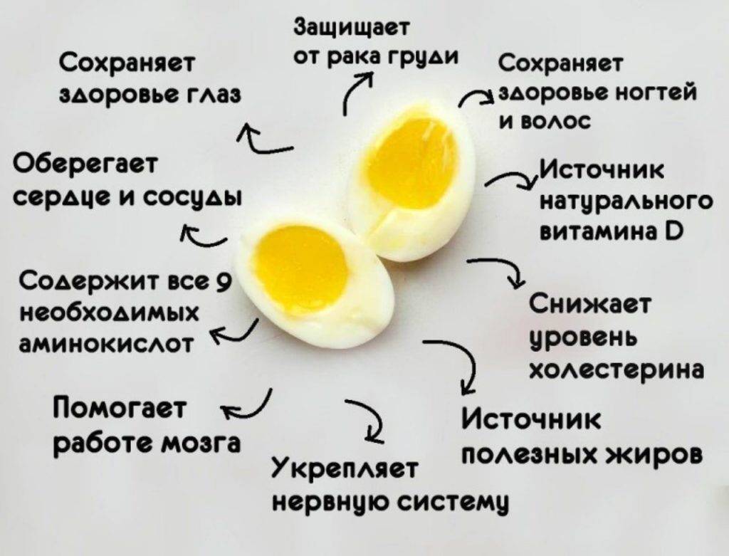 Когда лучше есть яйца утром или вечером. вред, противопоказания | школа красоты