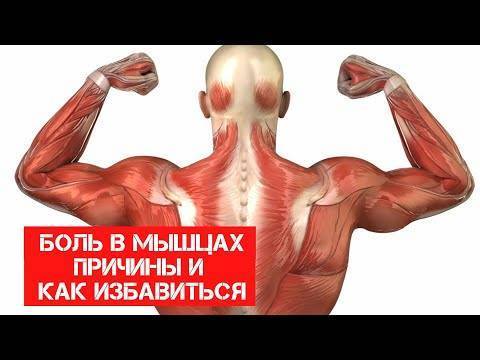 Причины и устранение болей мышцы после тренировки
