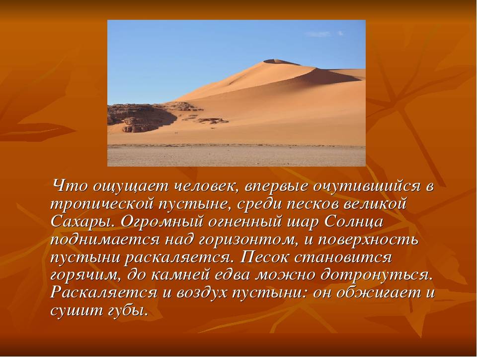 Дождь и интересное о дожде
