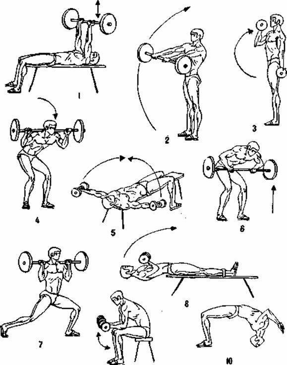Силовые упражнения рисунки