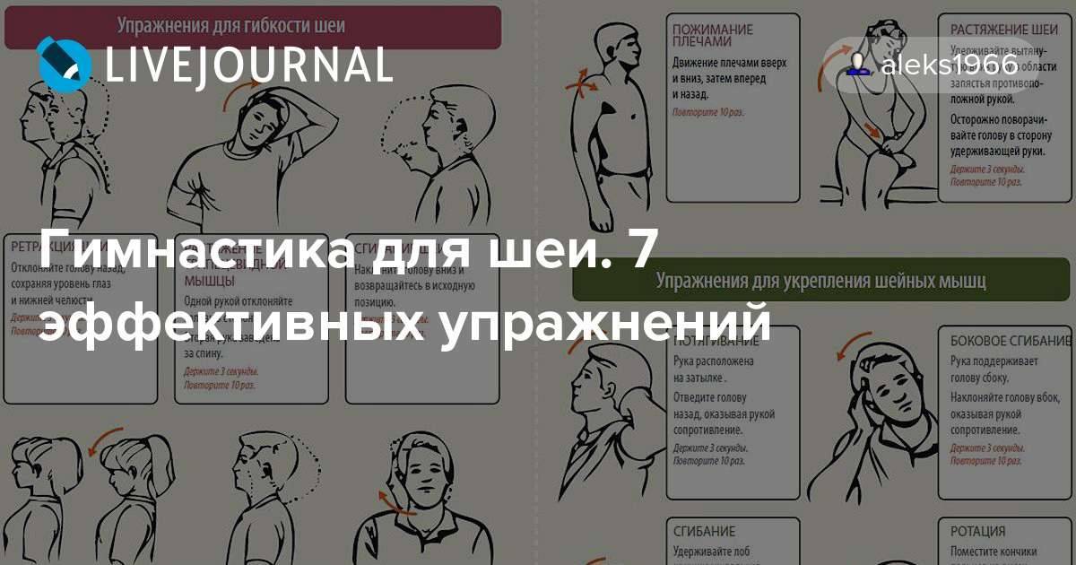 Упражнения для гибкости шеи картинки