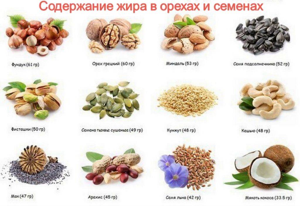 Какие орехи можно есть при похудении | официальный сайт – “славянская клиника похудения и правильного питания”