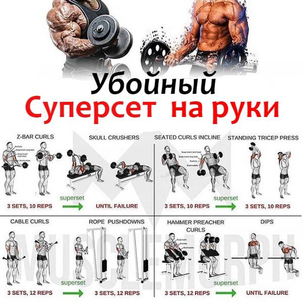 Суперсеты и трисеты для тренировок в зале