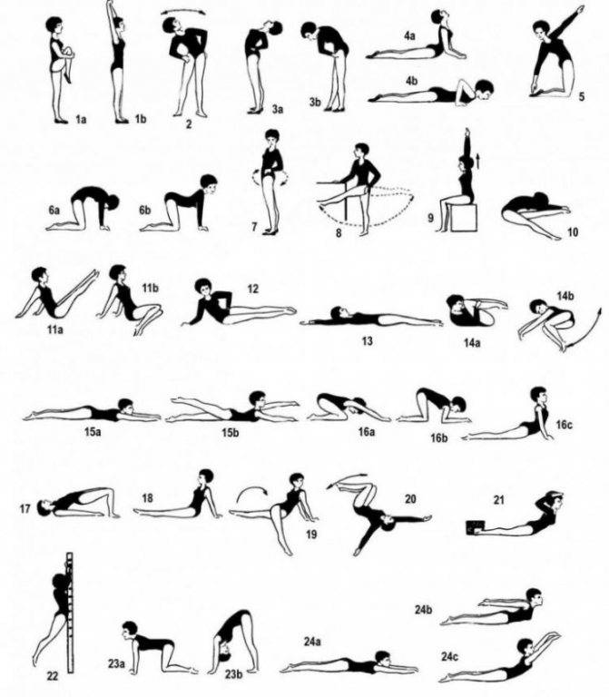 Упражнения для спины: комплекс для тренировки мышц спины