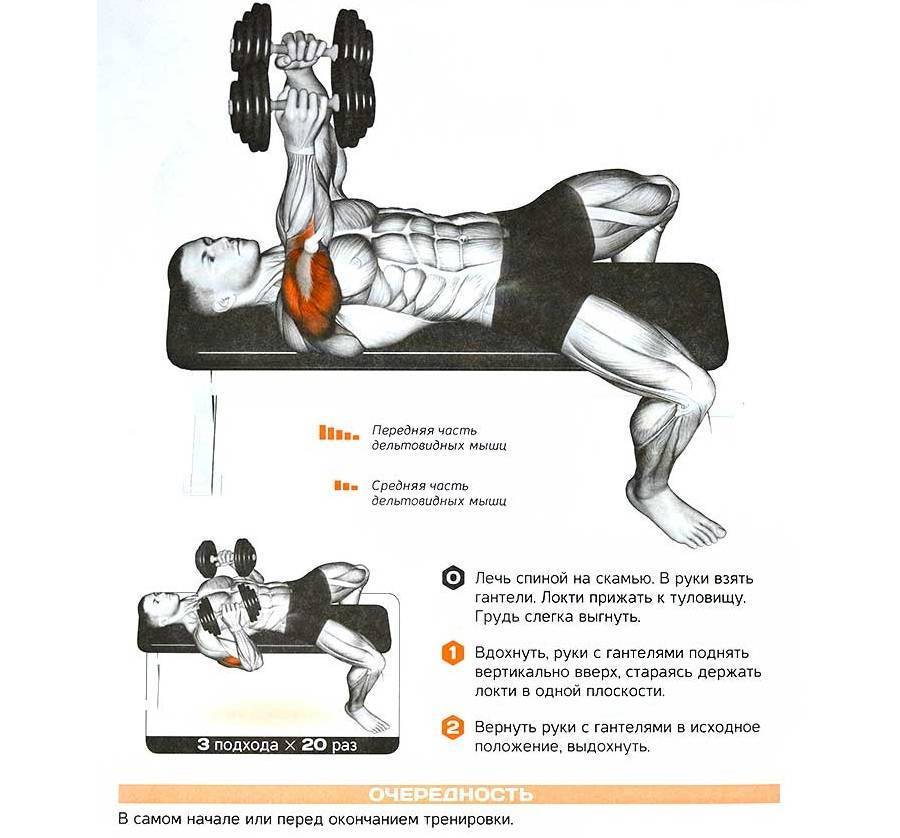 Жим гантелей лежа - классика для грудных мышц