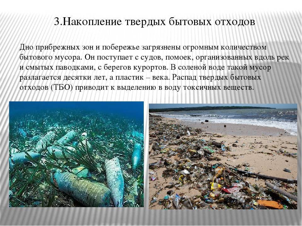 Стало известно, какое море самое отравленное и где самая ядовитая рыба