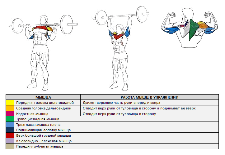 Жим гири стоя: техника выполнения, какие мышцы работают