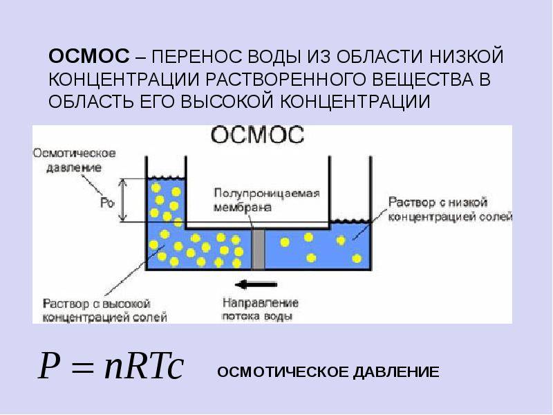 Осмотическая электростанция проект по физике