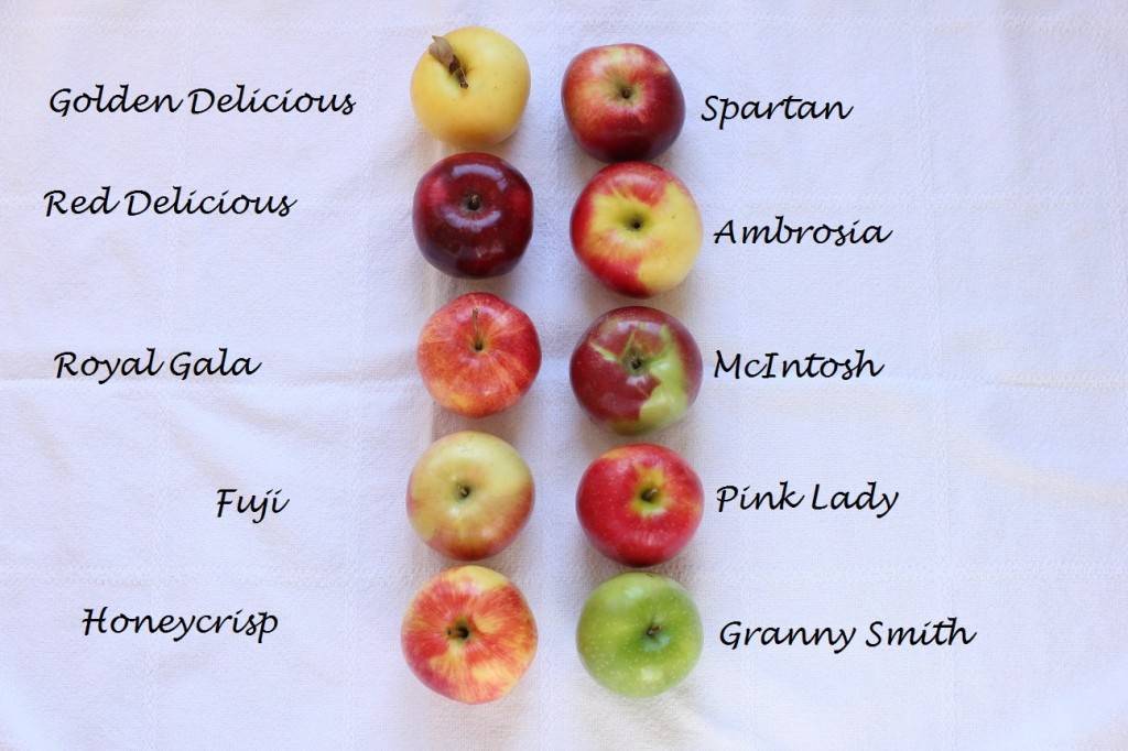 Запеченные яблоки из духовки: калорийность с сахаром и без