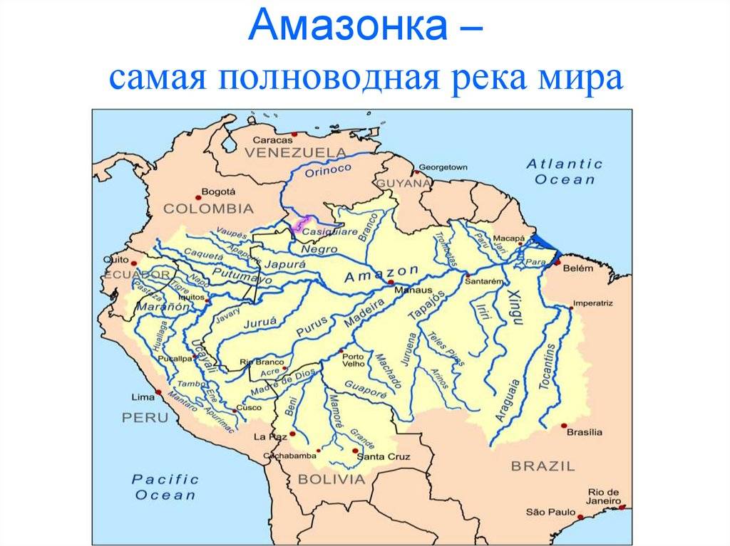 Река амазонка: ширина, длина, описание и фото. исток реки амазонки
