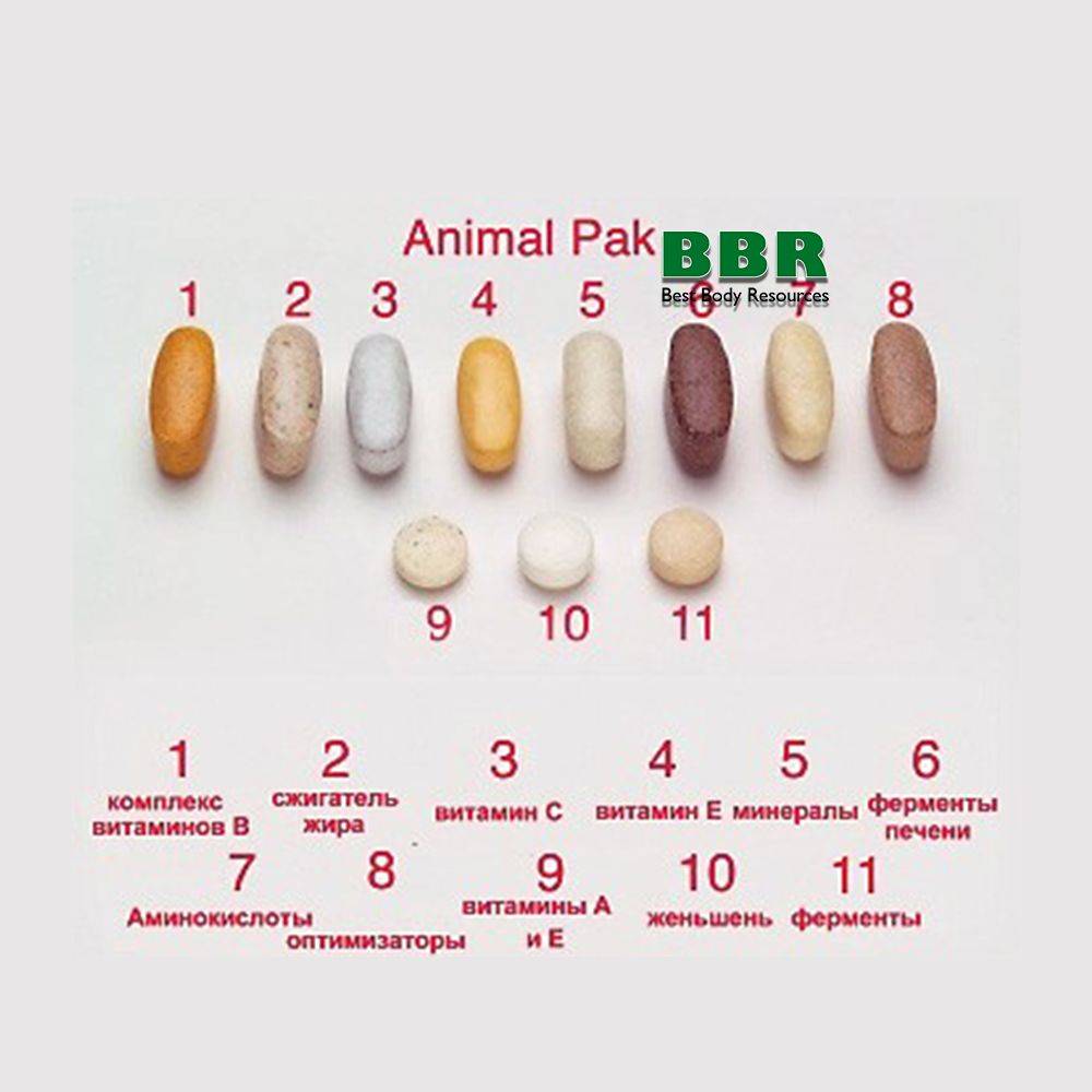 Animal pak от universal nutrition: отзывы, состав и как принимать