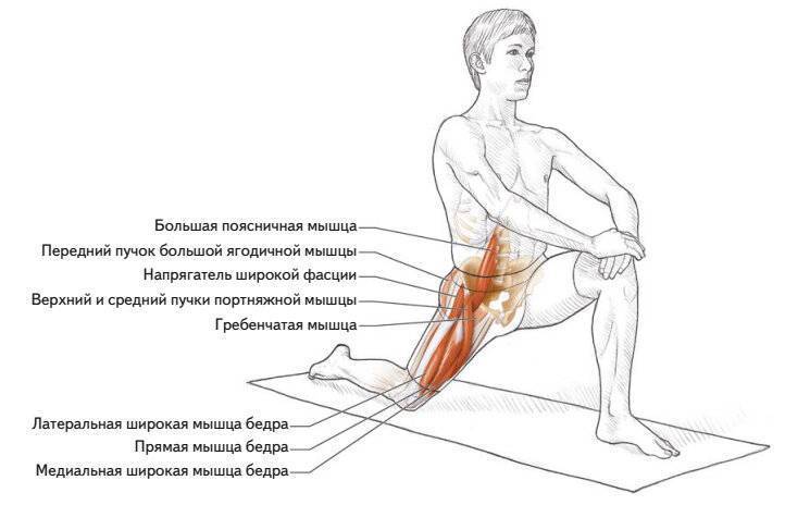 Дисфункция мышц тазового дна  | fpa