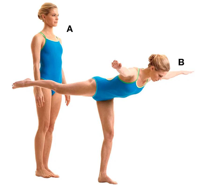 Конспект занятия по гимнастике на тему «знакомство с равновесием «ласточка». план-конспект урока по физкультуре (младшая группа)