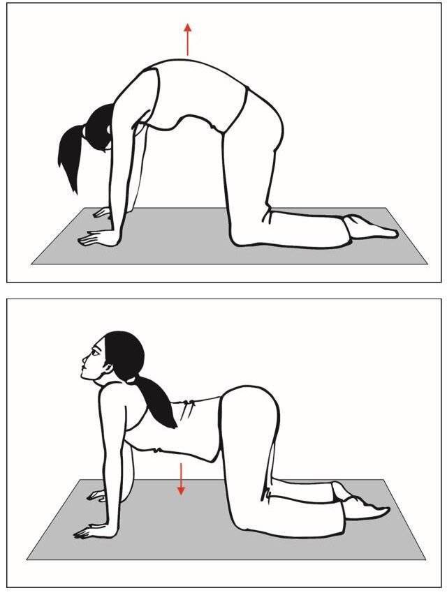 Комплекс упражнений на растяжку мышц спины и вытяжение позвоночника. часть 1