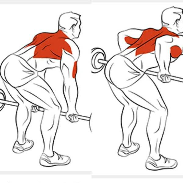 Качаем широчайшие мышцы спины