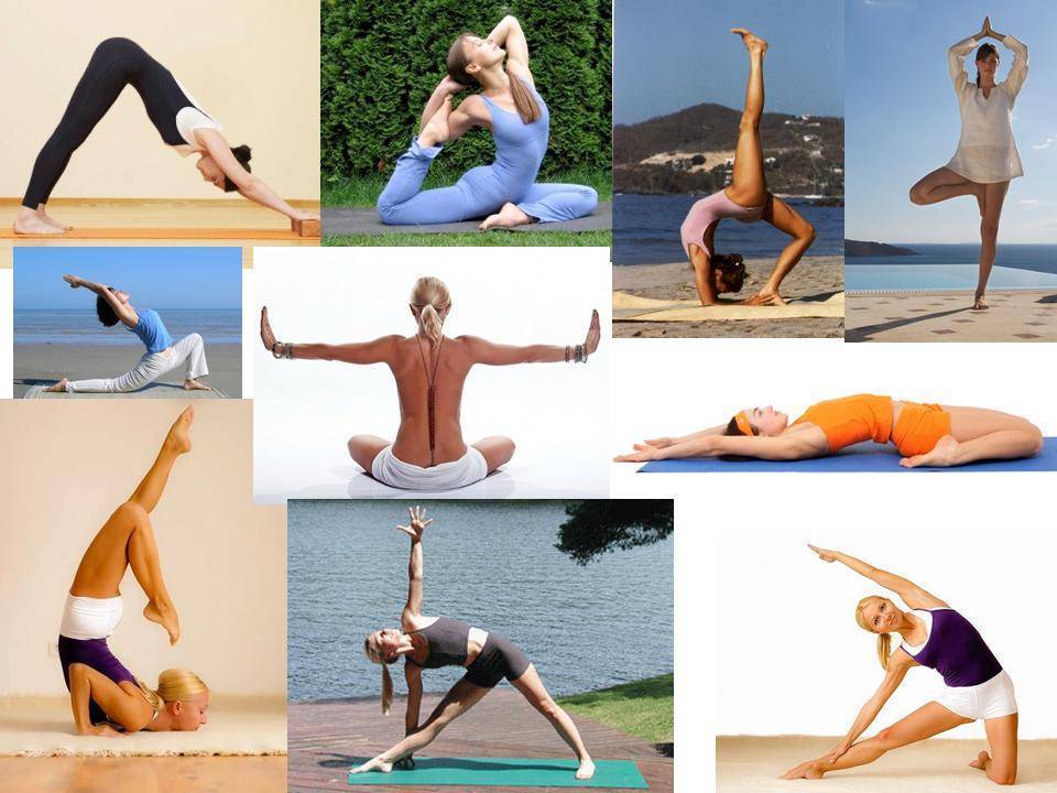 Асаны для новичков с картинками и описанием + 5 секретов йоги