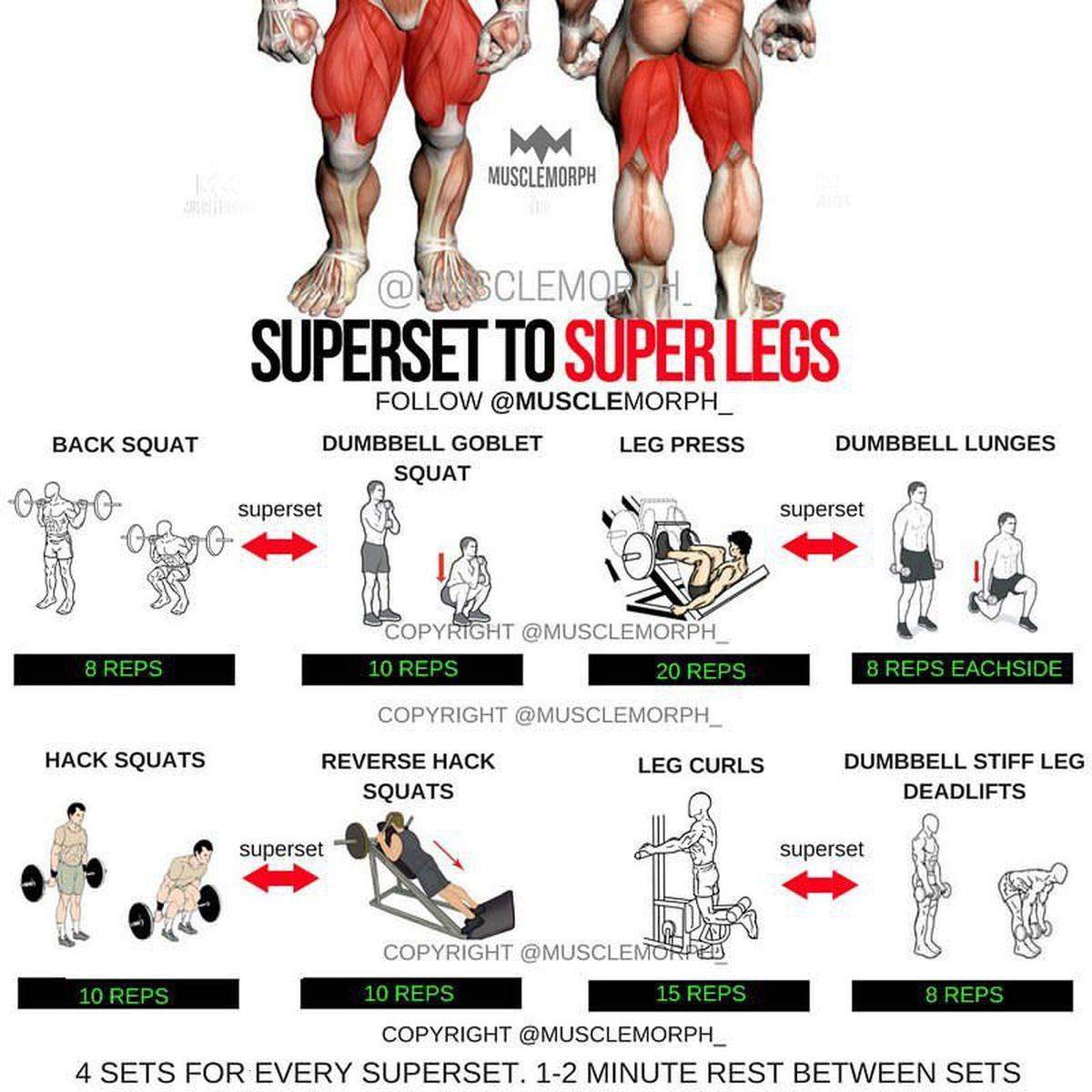 Суперсеты: что такое, упражнения для всего тела - жиросжигающие тренировки на грудные мышцы, бицепс, плечи, пресс, ягодицы и ноги, буйда