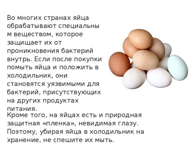 Яйца в бодибилдинге, сколько яиц можно есть, стоит ли есть желтки