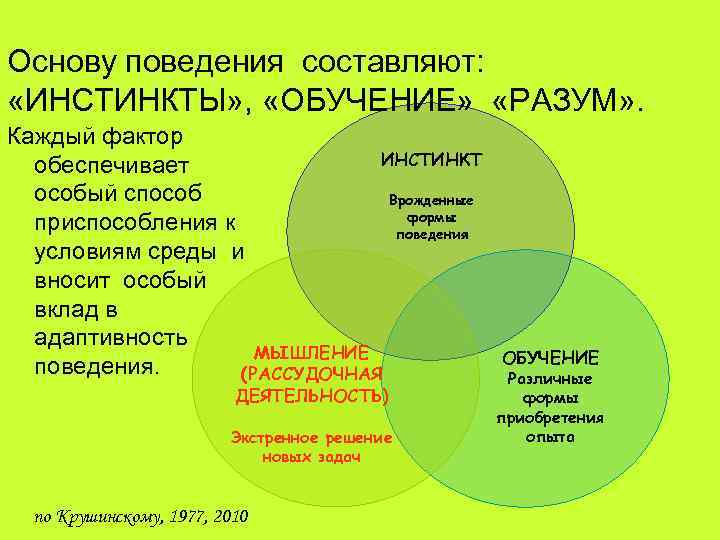 Основные инстинкты человека: список инстинктивных форм поведения в психологии | mma-spb.ru