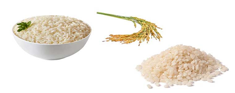 Калорийный ли рис и его действие при похудении