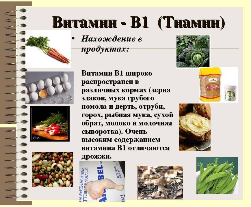 Витамин b1, тиамин: свойства и польза | food and health